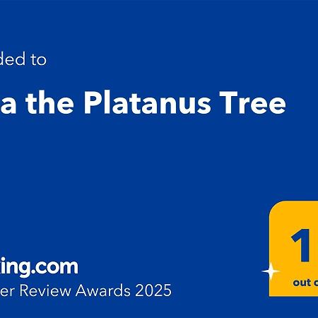 Villa The Platanus Tree Kato Vasiliki Bagian luar foto