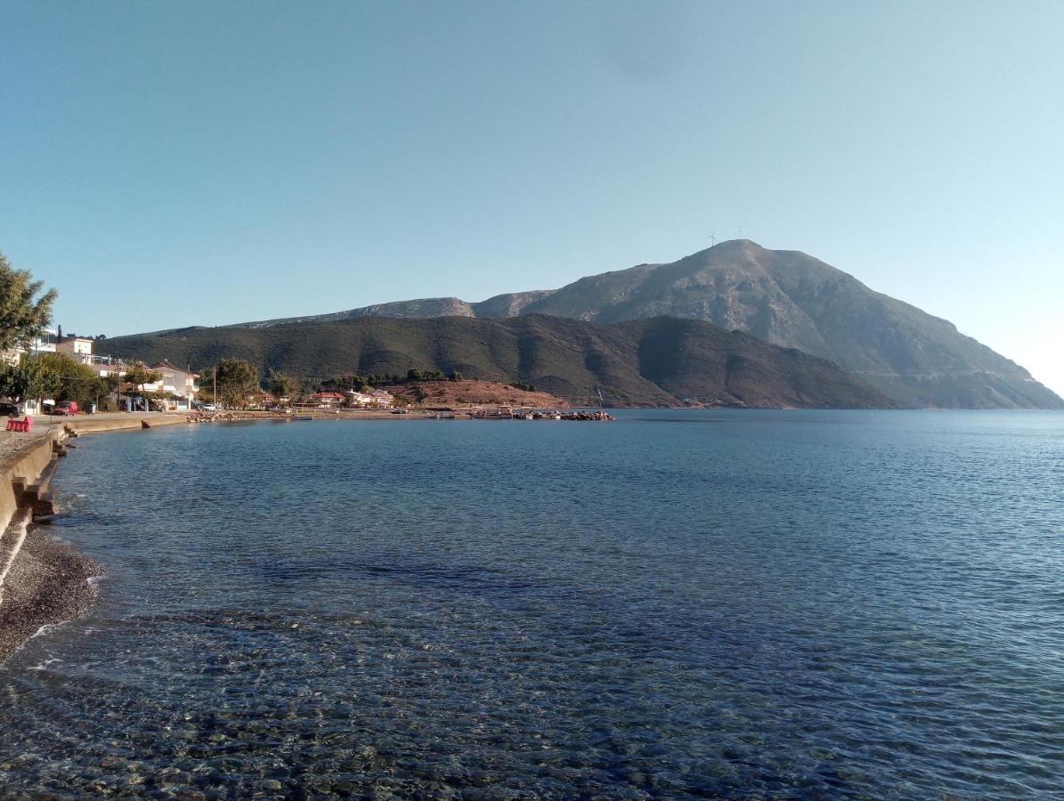 Villa The Platanus Tree Kato Vasiliki Bagian luar foto