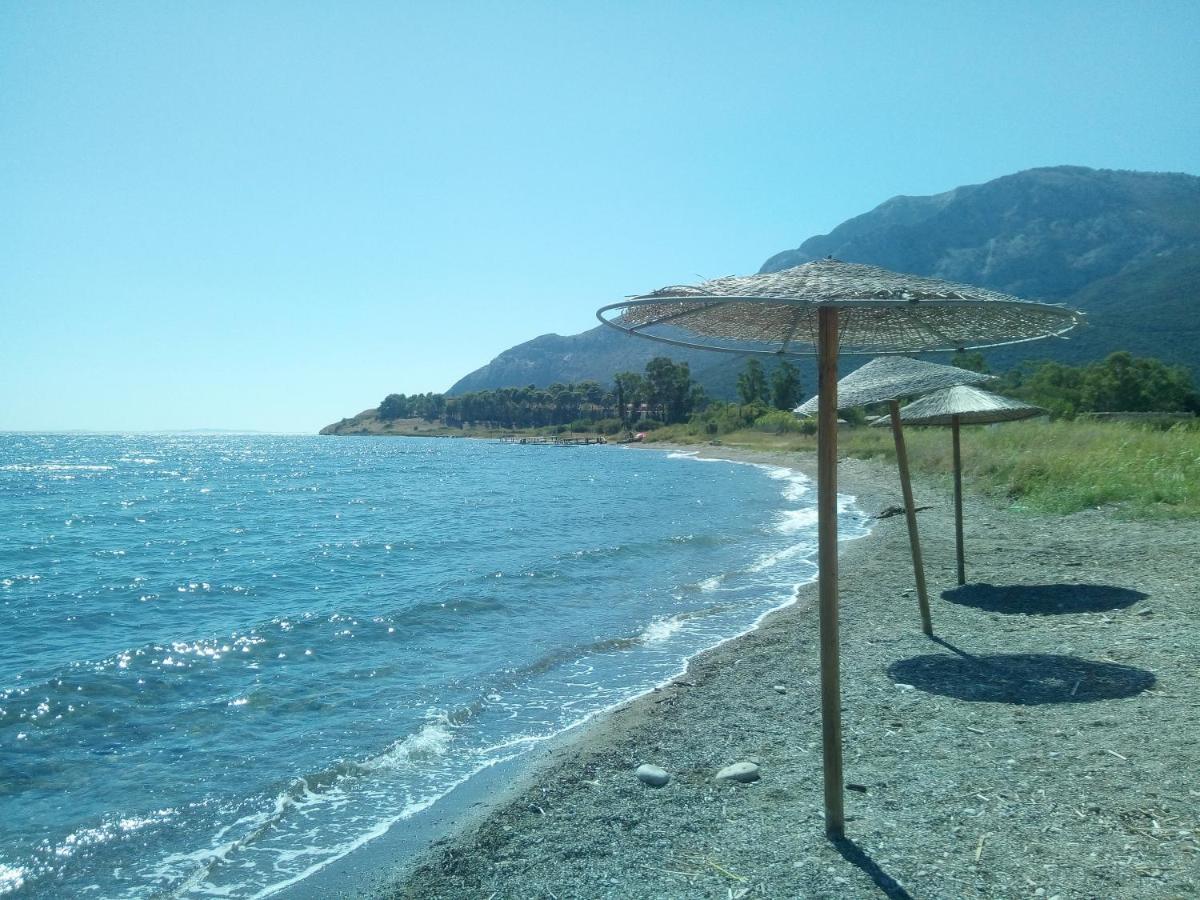 Villa The Platanus Tree Kato Vasiliki Bagian luar foto