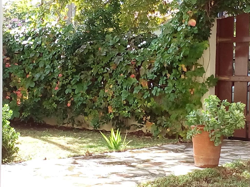Villa The Platanus Tree Kato Vasiliki Bagian luar foto