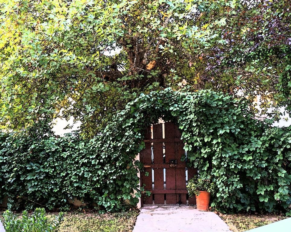 Villa The Platanus Tree Kato Vasiliki Bagian luar foto