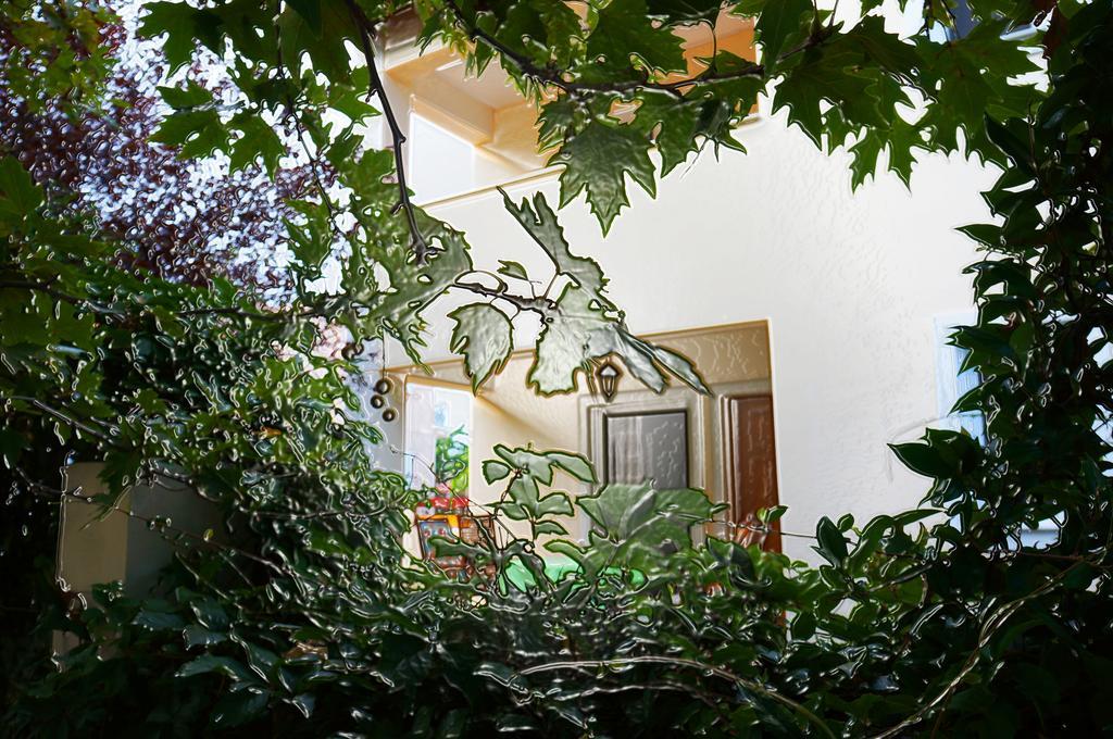 Villa The Platanus Tree Kato Vasiliki Bagian luar foto
